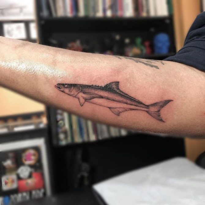 signification du tatouage de poisson