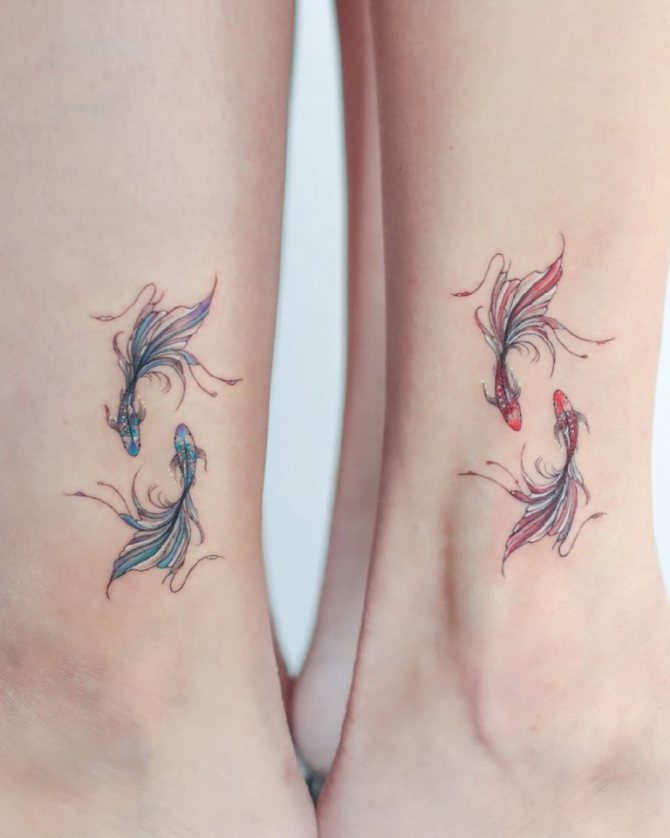 poisson tatoué