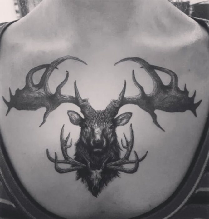 татуировка на елен