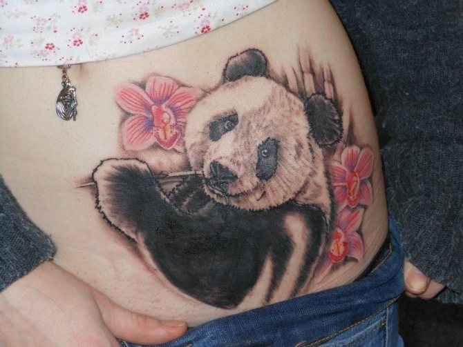 Panda-Tattoo
