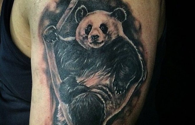 panda tatovering