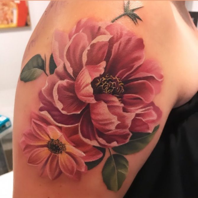 bazsarózsa tetoválás