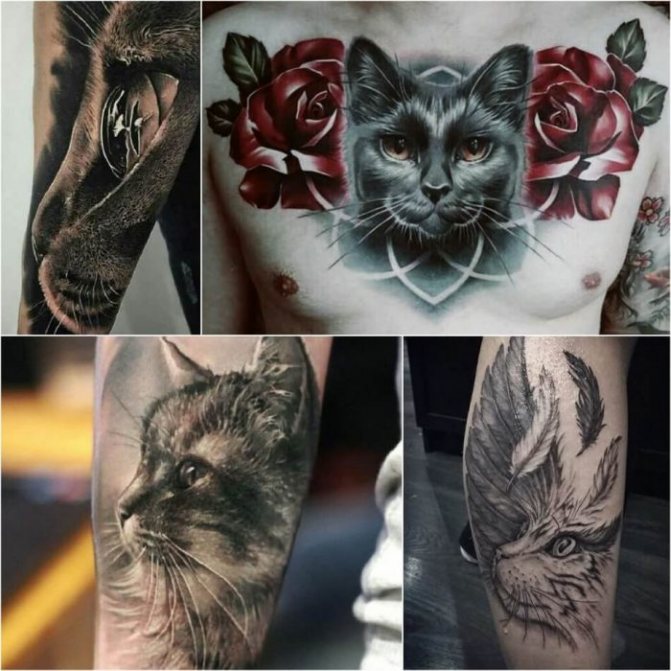 Tatouage d'animaux - Tatu-kot-Tatu-kot-geometriya-Tatuirovka-koshka-geometriya