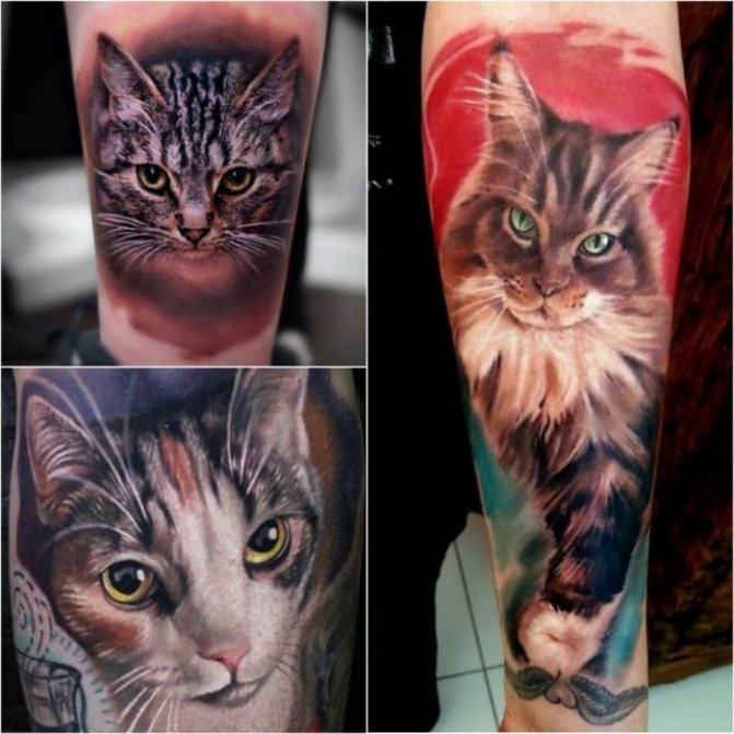 Tatouage avec des animaux - Tatu-kot-Tatu-kot-geometriya-Tatuirovka-koshka-geometriya