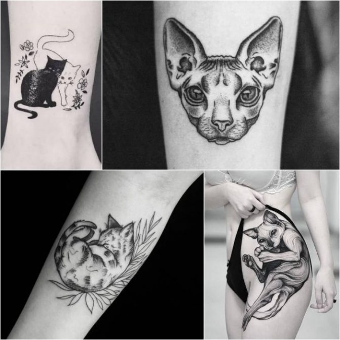 Tatouage avec des animaux - Tatu-kot-Tatu-kot-geometriya-Taturovka-koshka-geometriya