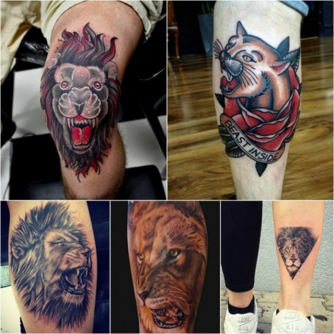 Tatouages d'animaux - tatouage de lion - tatouages d'animaux sauvages - tatouage de lion
