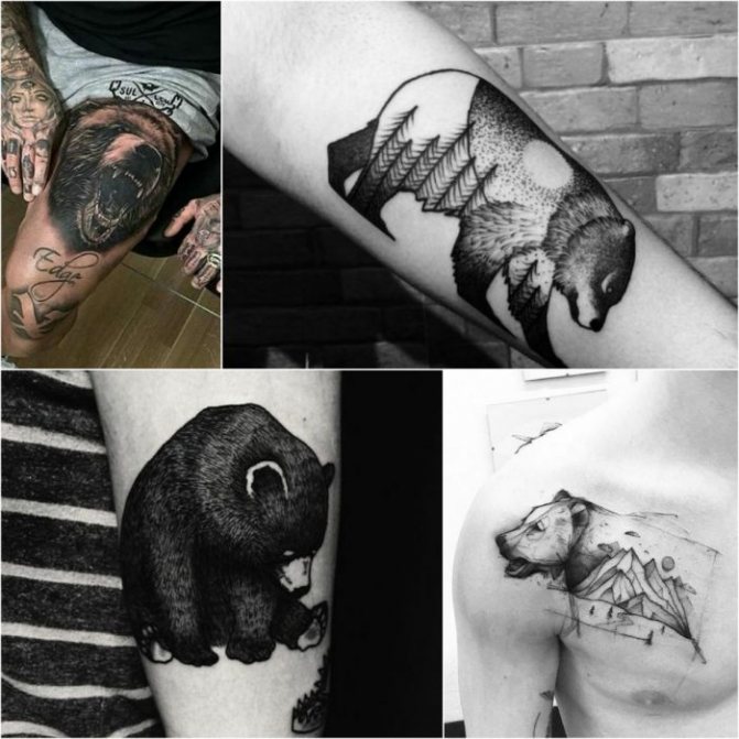 Tatouage d'animaux - Tatu-medved-muzhskie-tatu-medved-tatu-dlya-muzhchin-medved