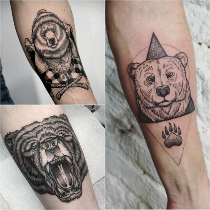 Tatouage d'animaux - Tatu-medved-Muzhskie-tatu-medved-Tatu-dlya-muzhchin-medved