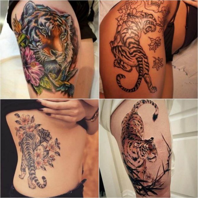 Tatouage avec des animaux - Tatu-tigr-Muzhskoe-tatu-tigr-tatuirovka-tigr-dlya-muzhchin
