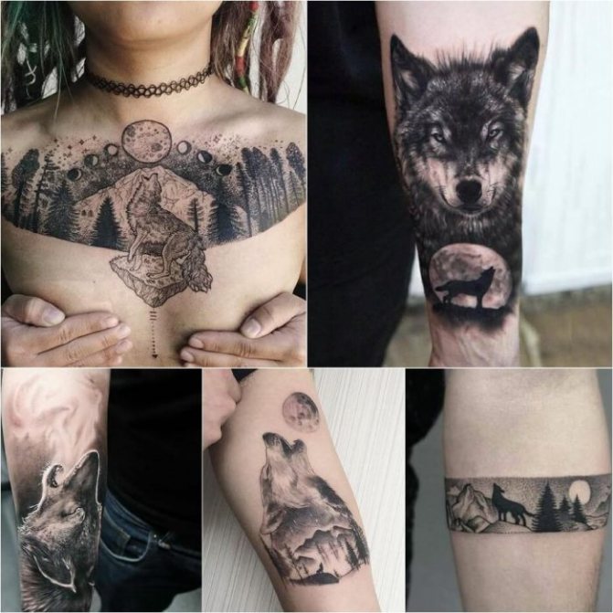 Tatouage avec des animaux - Tatu-volk-Tatu-volk-znachenie-znachenie-i-eskizyi