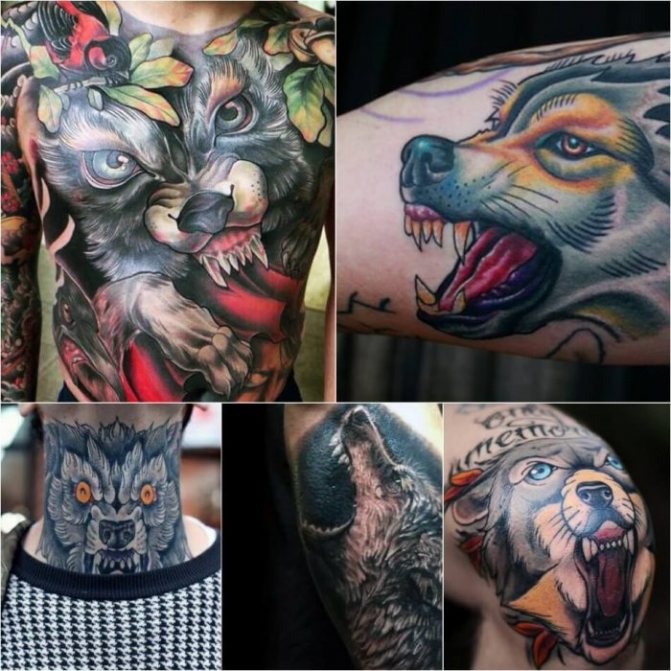 Tatouage avec des animaux - Tatu-volk-Tatu-volk-znachenie-znachenie-i-eskizyi
