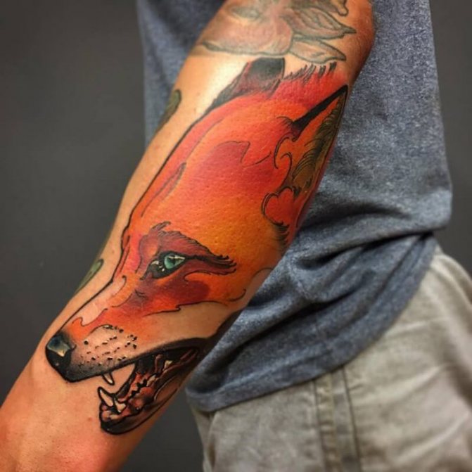 Animaux tatoués - animaux tatoués - renard tatoué - renard tatoué