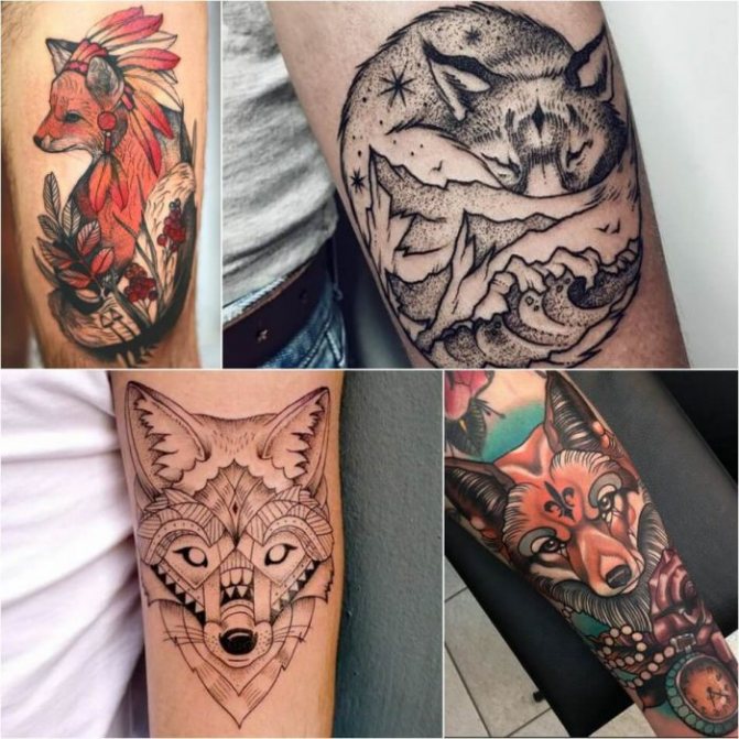 Animaux tatoués - animaux tatoués - renard tatoué - renard tatoué