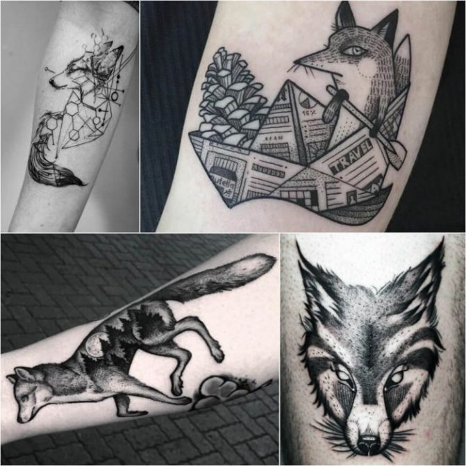 Animaux tatoués - animaux tatoués - renard tatoué - renard tatoué