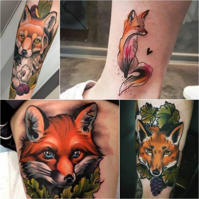 Animaux tatoués - animaux tatoués - renard tatoué - renard tatoué