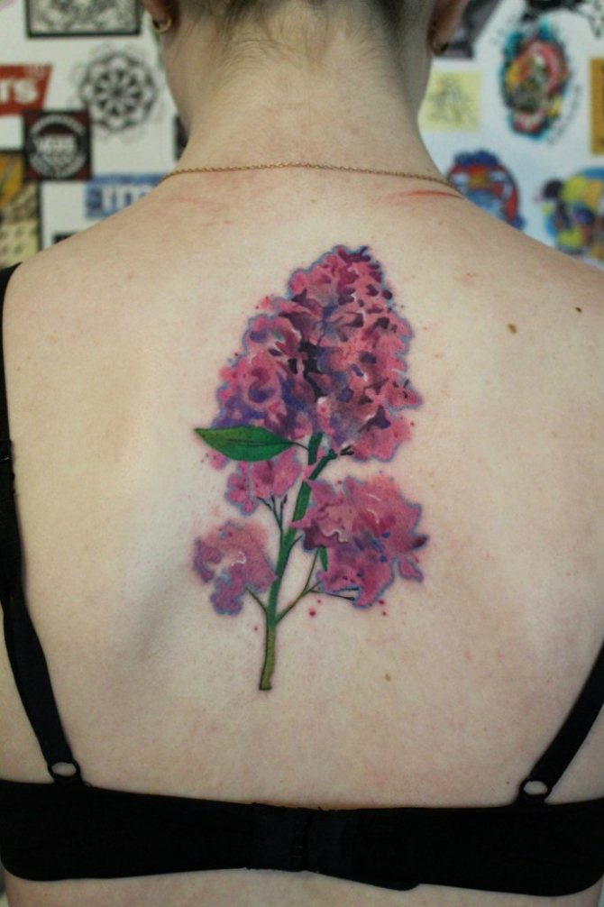Des lilas tatoués sur le dos d'une femme