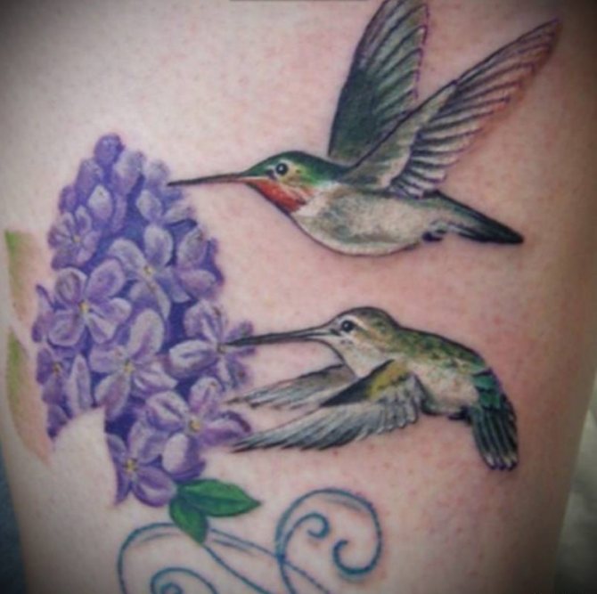 Tatouage lilas avec colibri