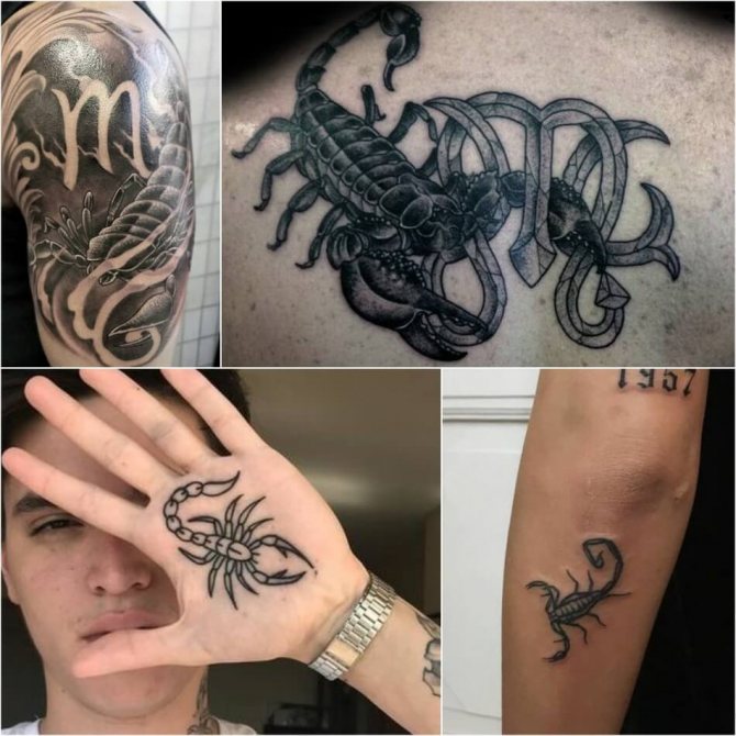 tatovering scorpion - skitser til mænd scorpion - scorpion tatovering til mænd - scorpion tatovering til mænd