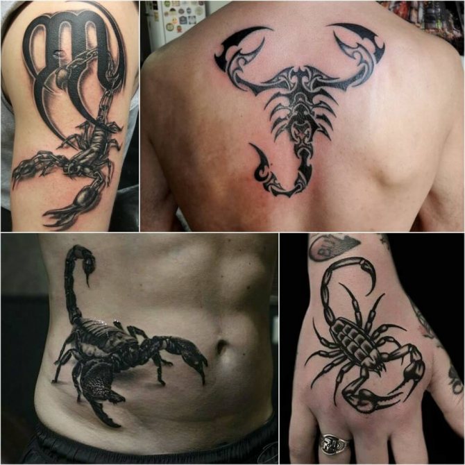 tatouage scorpion - croquis homme scorpion - tatouage homme scorpion