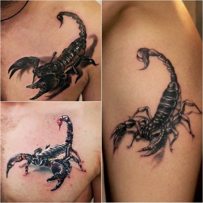 tatouage scorpion - croquis homme scorpion - tatouage homme scorpion
