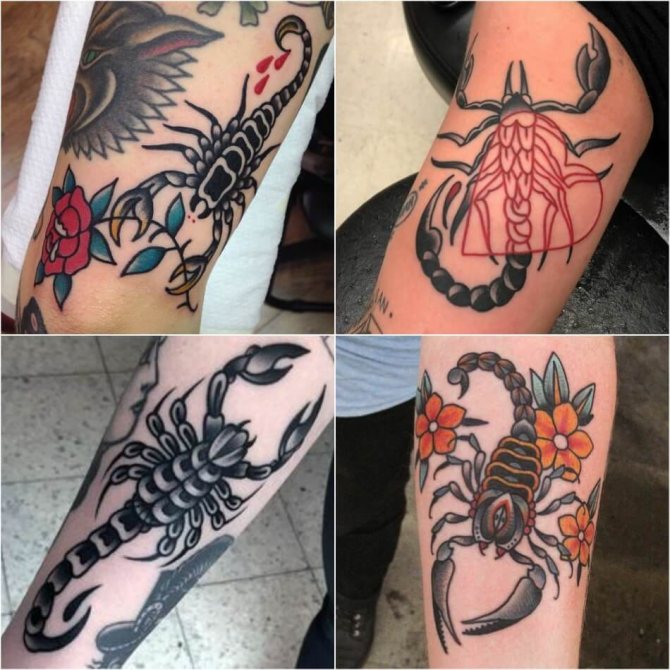 tatovering skorpion - skitser til mænd skorpion - mandlig tatovering skorpion - tatovering skorpion til mænd