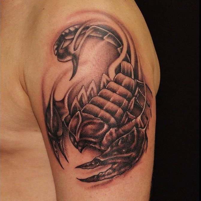 Skorpió tetoválás a vállon