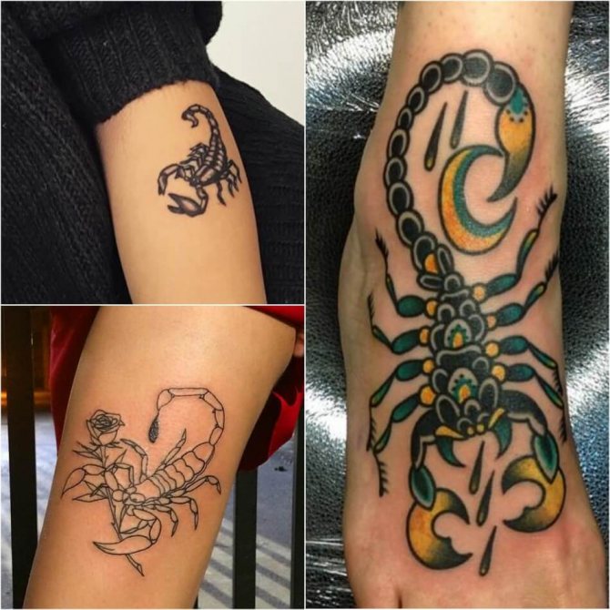 tattoo scorpion - kvindelig tattoo scorpion - tattoo scorpion til piger