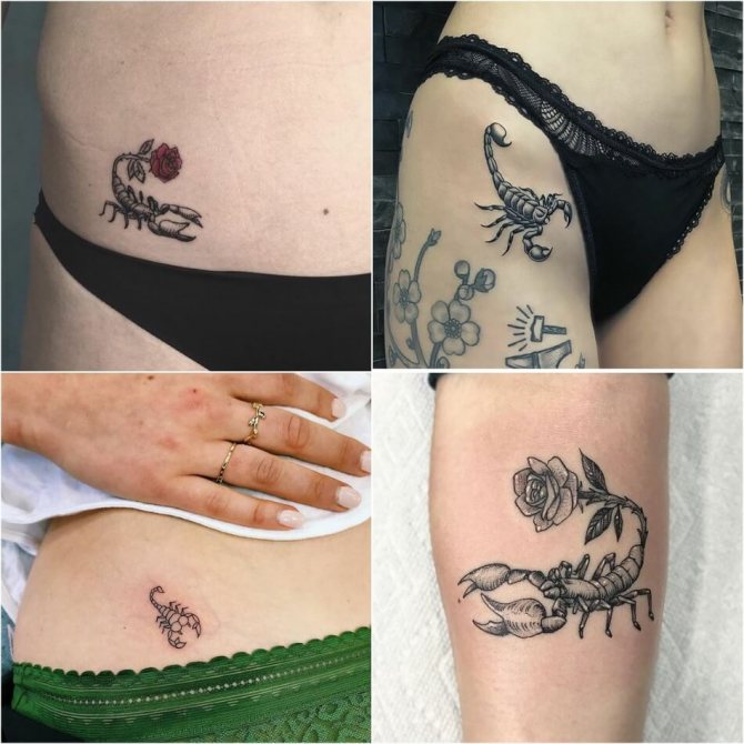 tattoo scorpion - kvindelig tattoo scorpion - tattoo scorpion til piger