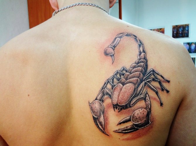 tatouage de scorpion