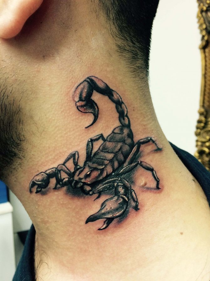 tatouage de scorpion