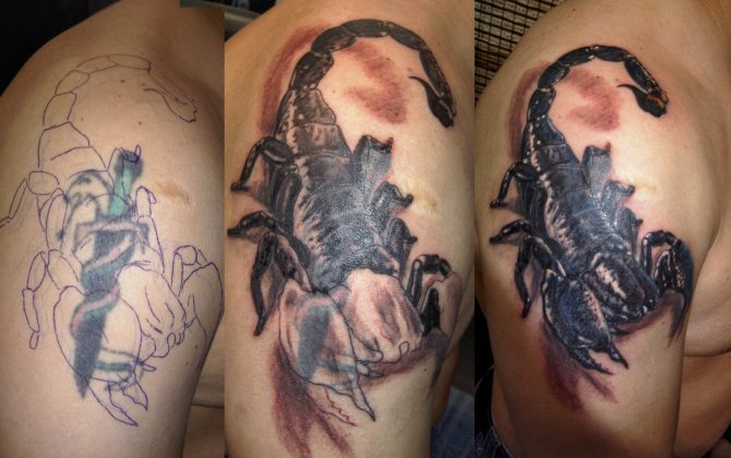 tatouage scorpion