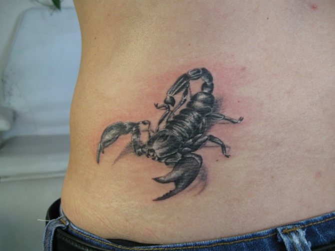 tatouage scorpion