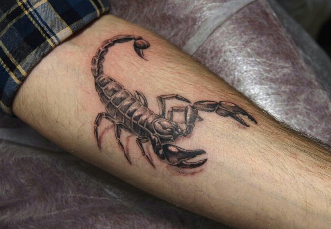 tatouage scorpion