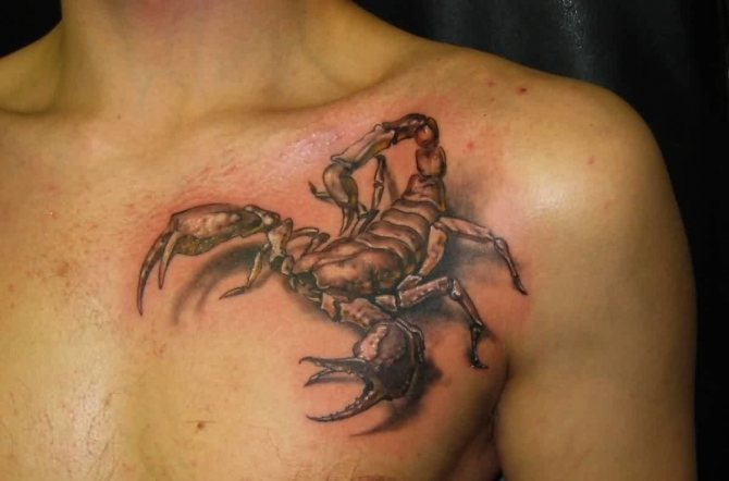tatouage scorpion