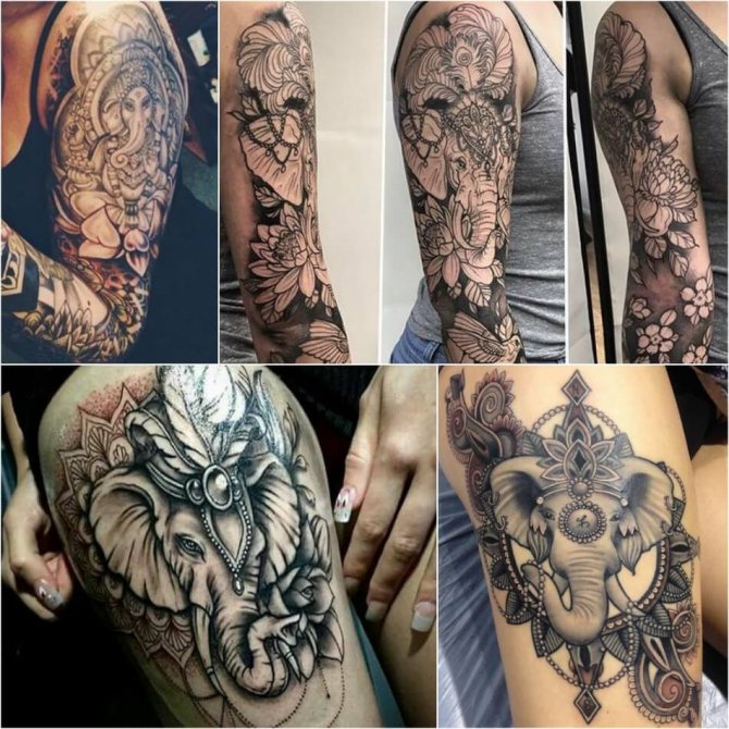 Tatouage éléphant pour filles - Exemples et croquis de tatouage éléphant - Signification du tatouage éléphant pour filles