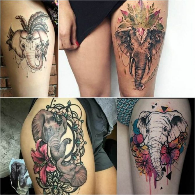 Tatouage éléphant pour filles - Exemples et croquis de tatouage éléphant - Signification du tatouage éléphant pour filles
