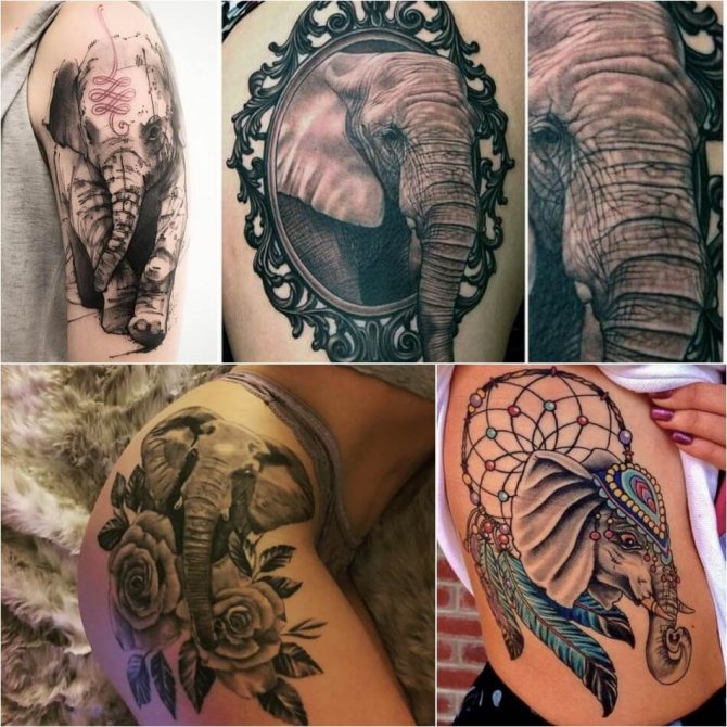 Tatouage éléphant pour filles - Exemples et croquis de tatouage éléphant - Signification du tatouage éléphant pour filles