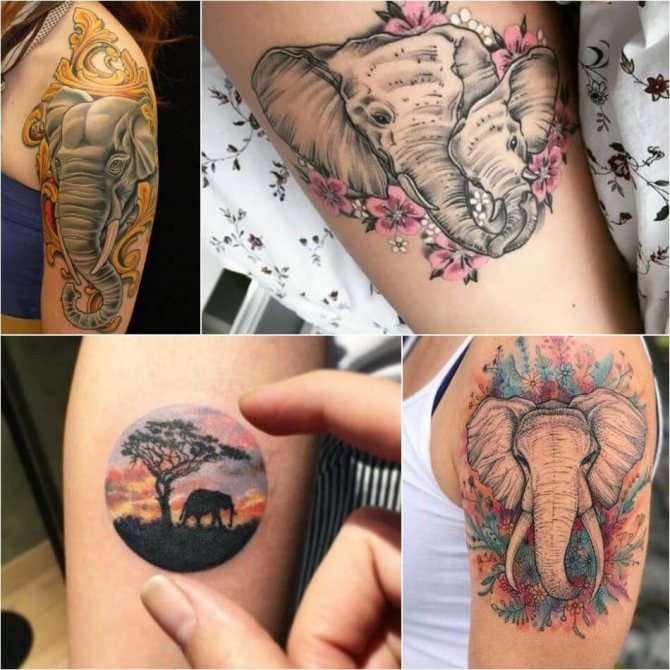 Tatouage éléphant pour filles - Exemples et croquis de tatouage éléphant - Signification du tatouage éléphant pour filles