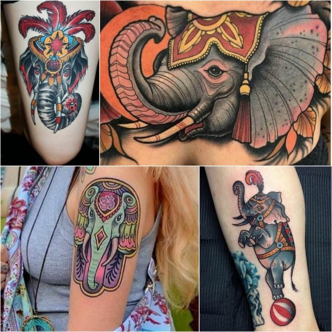 Tatouage éléphant pour filles - Exemples et croquis de tatouage éléphant - Signification du tatouage éléphant pour filles