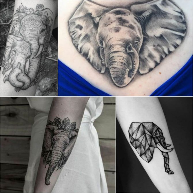 Tatouage éléphant pour filles - Exemples et croquis de tatouage éléphant - Signification du tatouage éléphant pour filles
