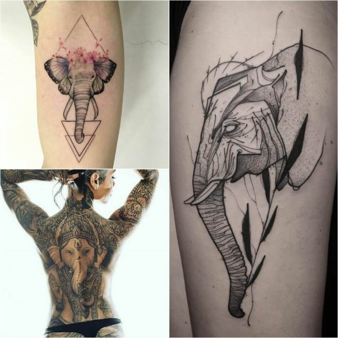 Tatouage éléphant pour filles - Exemples et croquis de tatouage éléphant - Signification du tatouage éléphant pour filles