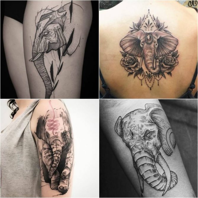 Tattoo Elephant - Histoire et symbolisme du tatouage d'un éléphant