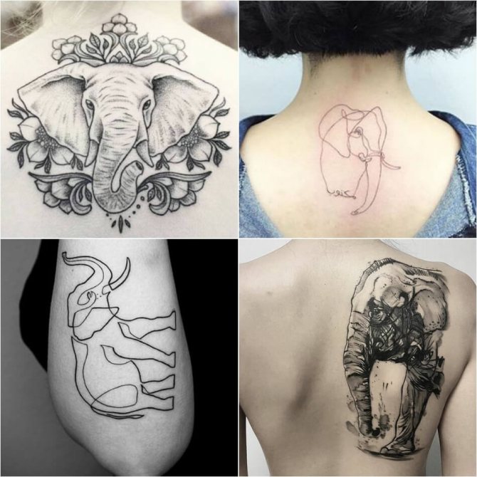 Tattoo Elephant - Histoire et symbolisme du tatouage d'un éléphant