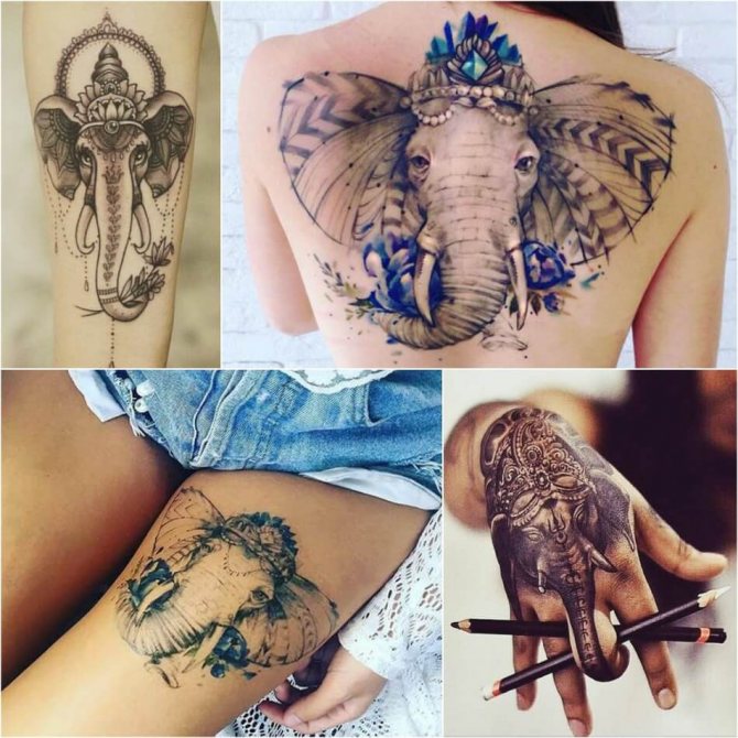 Tätoveering Elephant - Tattoo Elephant ajalugu ja sümboolika