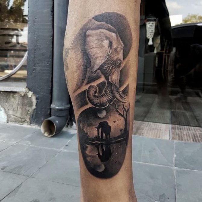 tatuaje de elefante hombre