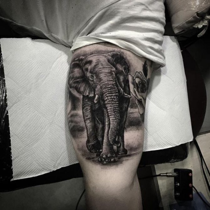 tatuaje de elefante en la mano