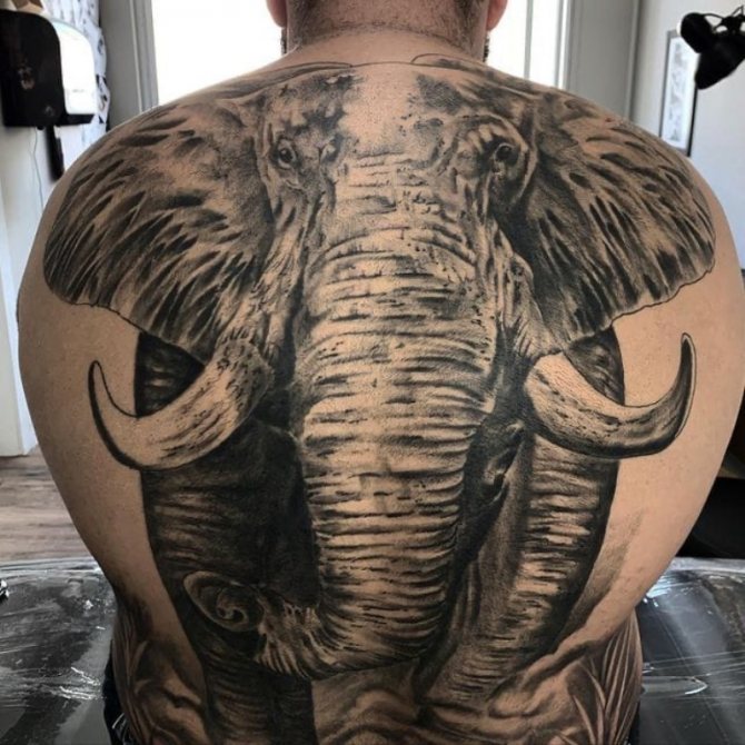 tatuaje de espalda de elefante