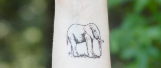Signification du tatouage d'un éléphant sur un pénis