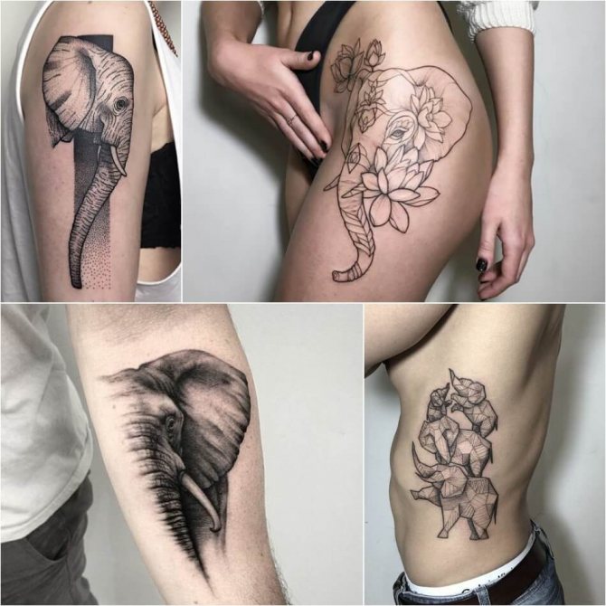 Tattoo Elephant - Signification de Tattoo Elephant