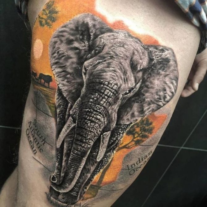 tatuaje de elefante